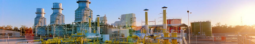 Adminex Technologies Overseas Joint Ventures